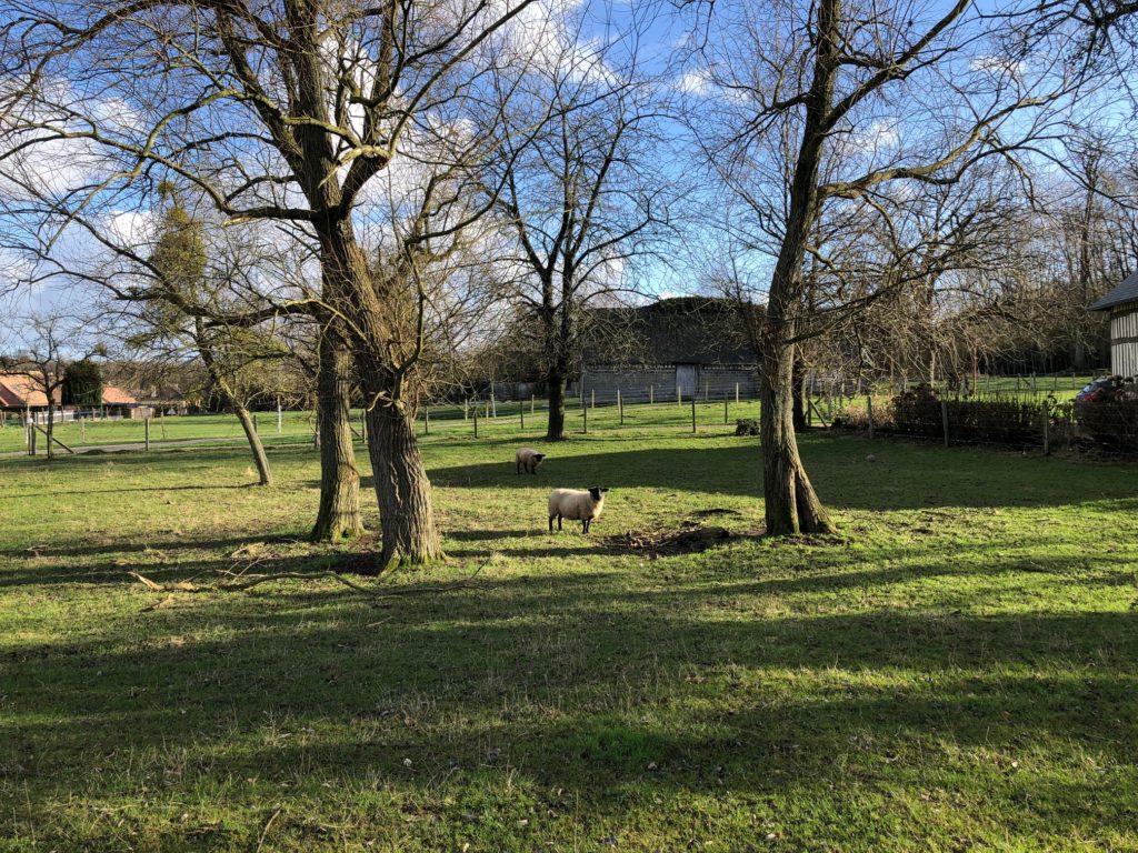Journal – 11