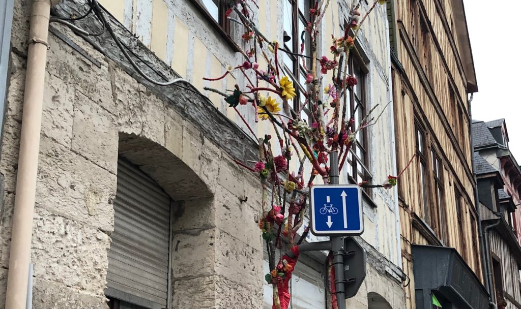 Journal – 15